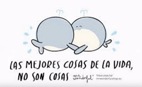 mr Wonderful 2