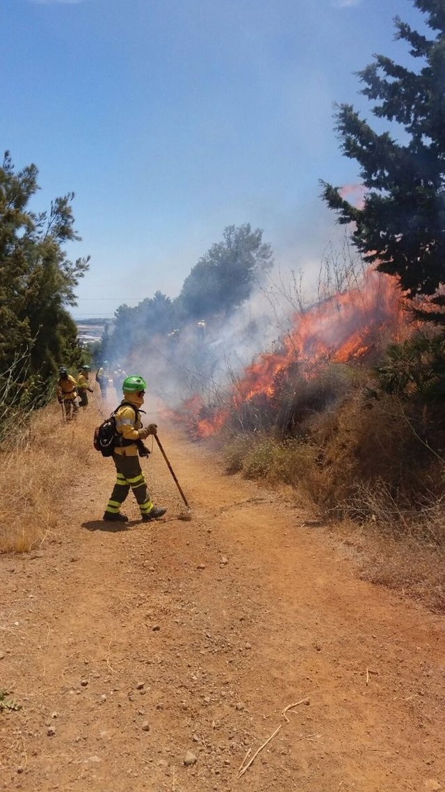 Declarado un incendio forestal en Málaga