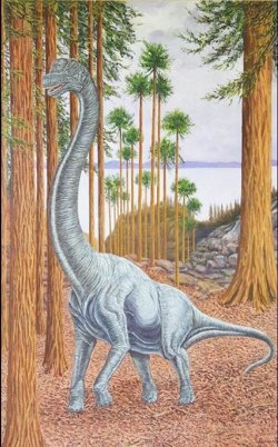 Identificado en Soria un nuevo saurópodo de más de 13 metros de longitud