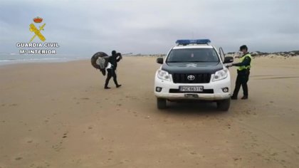 Guardia Civil denuncia a una persona por recoger setas en Burgos y a dos por marisquear en Lepe (Huelva)