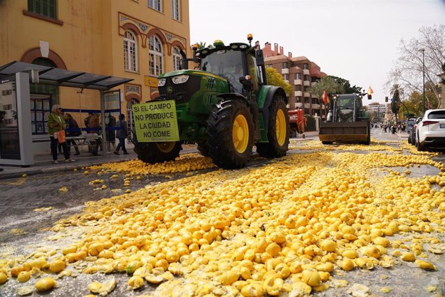 Upa Alerta De La Grave Crisis Que Afecta A Los Productores De Lim N