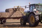 Bruselas prorroga hasta finales de 2024 el marco de ayudas estatales en apoyo al sector agrícola