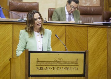 Andalucía exige al Gobierno una treintena de infraestructuras ferroviarias y reclama reunión a Puente