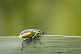 Triodos Bank se compromete a la financiación de al menos 500 millones de euros de soluciones basadas en la naturaleza