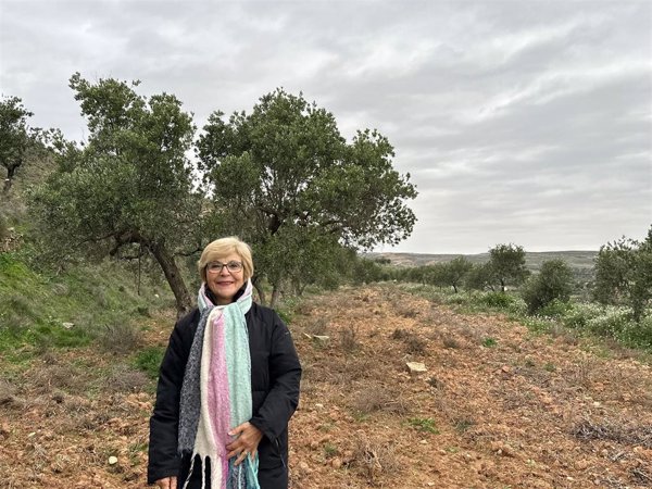 Apadrinar un olivo un regalo único para Reyes Magos que ayuda a