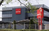 Mapfre neutraliza la huella de carbono de su última Junta General de Accionistas con la plantación de 500 árboles