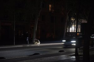 Un total de 28,1 millones de espectadores vieron TV el día después del apagón, un 2% más que el anterior martes