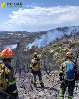 Queda extinguido el incendio de Tolva (Huesca) tras afectar a 47 hectáreas forestales y 10 agrícolas