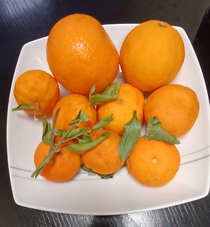 El zumo de naranja no eleva los niveles de insulina en comparación con la fruta entera, según FJSC