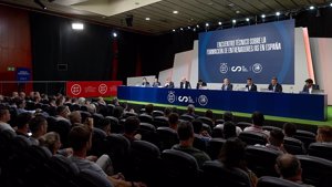AMP. La RFEF creará un grupo de trabajo junto al CSD para abordar la formación de entrenadores en España