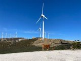 Endesa actualiza su Plan de Sostenibilidad con 65 medidas para lograr ser compañía cero emisiones en 2040