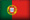 Bandera PRT