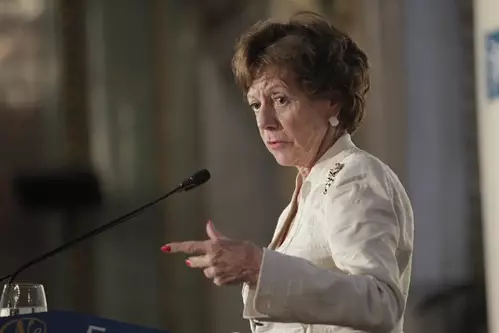 Neelie Kroes