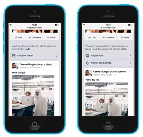 News feed controls