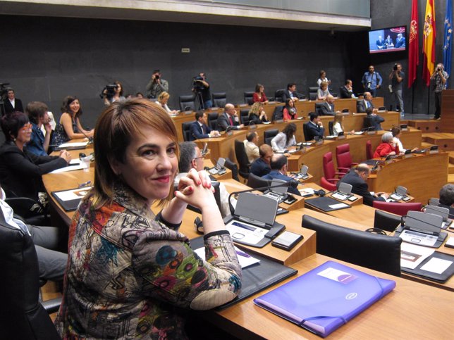 fotonoticia_20150617123507_644.jpg