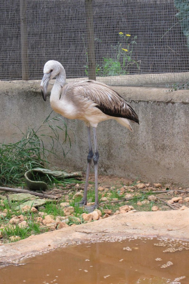 https://img.europapress.net/fotoweb/fotonoticia_20150928173407_800.jpg