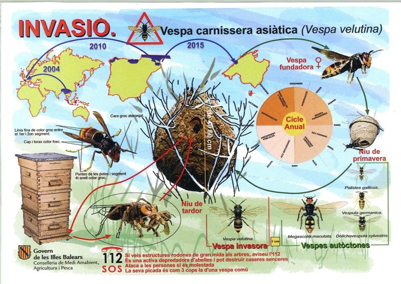 https://img.europapress.net/fotoweb/fotonoticia_20151030164538_800.jpg