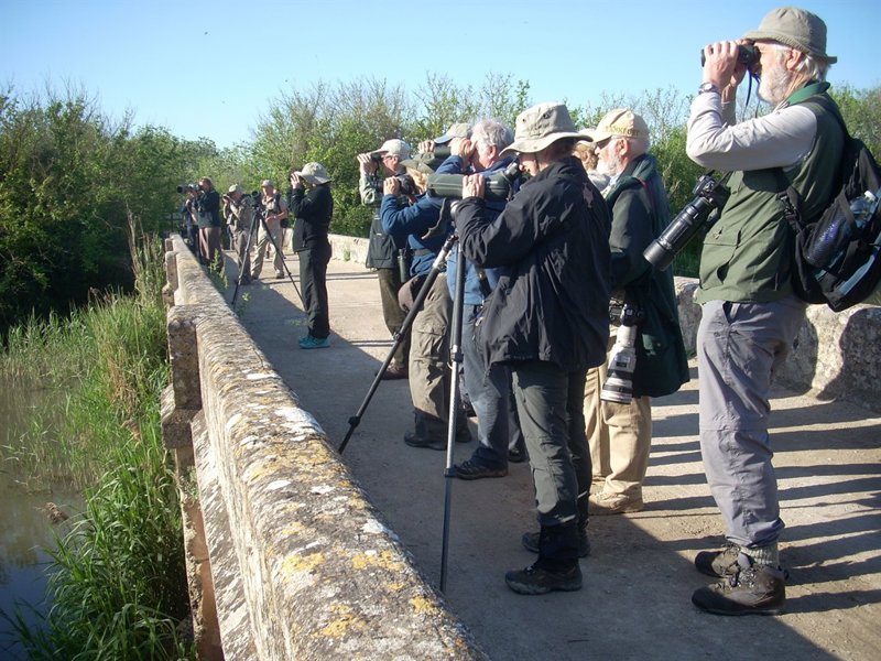 https://img.europapress.net/fotoweb/fotonoticia_20160507182459_800.jpg