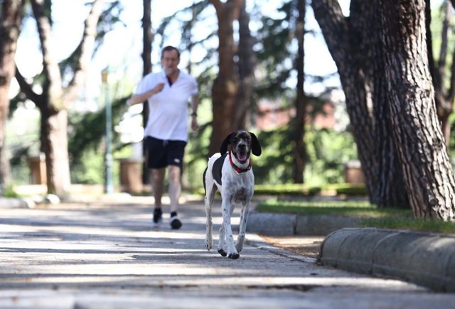 https://img.europapress.net/fotoweb/fotonoticia_20160814131652_640.jpg