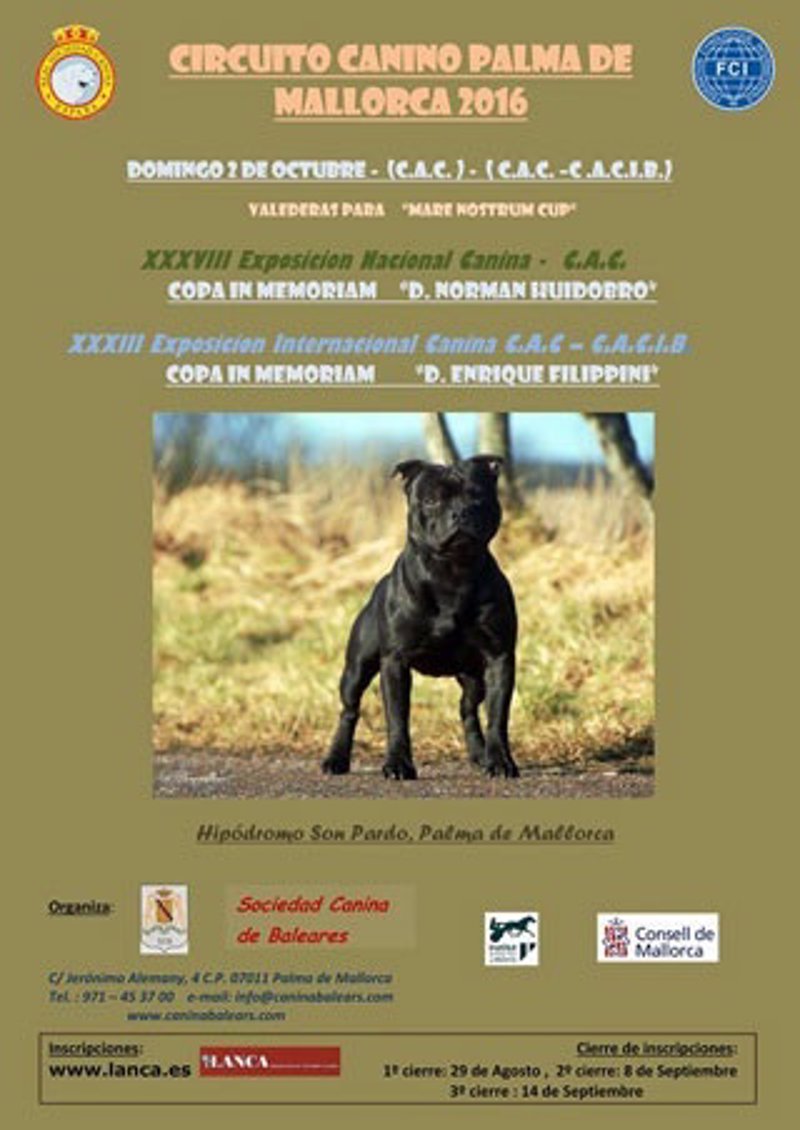 Palma acoge este domingo la 38 Exposición Nacional Canina y la 33 Exposición Internacional Canina