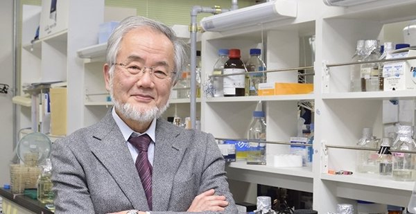 El descubrimiento de Ohsumi tienen grandes implicaciones en medicina, explica una experta del CSIC