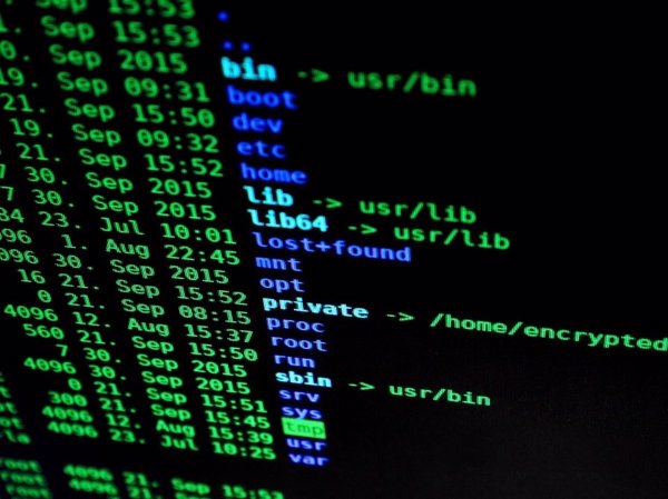 Las empresas pagan una media de 500 euros por recuperar sus datos tras un ataque de ransomware