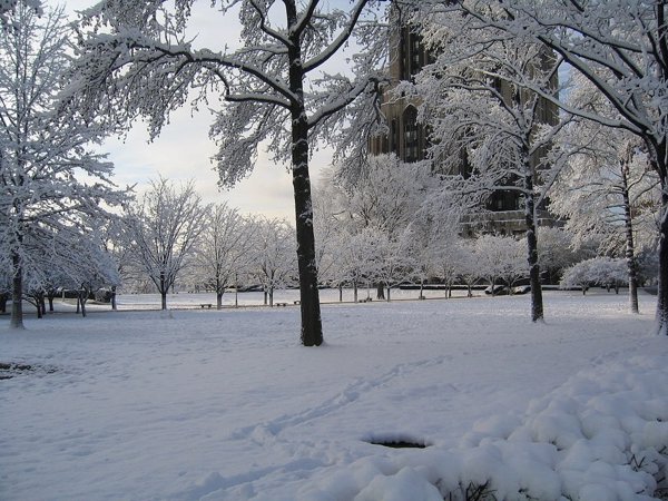 El invierno comenzará el 21 de diciembre y durará 88 días y 23 horas