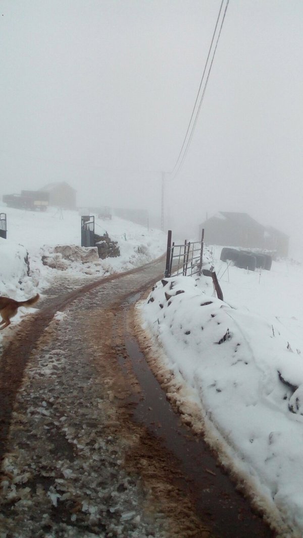 Comienza la ola de frío, que se extenderá mañana por casi toda España, con temperatura de hasta -15 grados