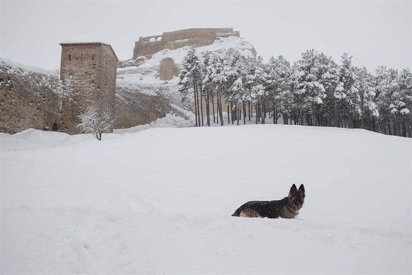 Morella (Castellón) registra hasta 49 centímetros de espesor de nieve en 48 horas