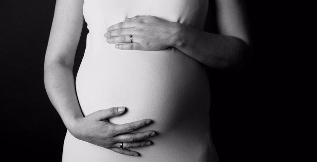 El TSJB da la razón a una pareja homosexual que pedía prestación de maternidad por adopción por gestación subrogada