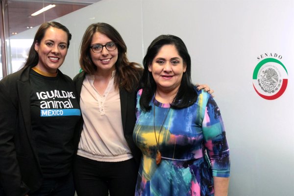 México debatirá tipificar el delito de maltrato animal en animales de granja tras una denuncia de Igualdad Animal
