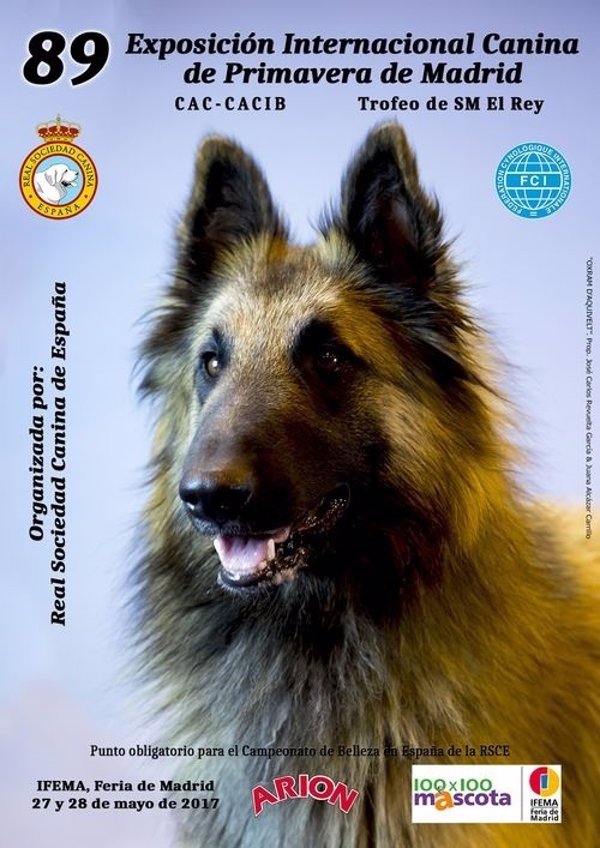 La Real Sociedad Canina de España organiza la 89 Exposición Internacional Canina de Primavera, del 27 al 28 de mayo