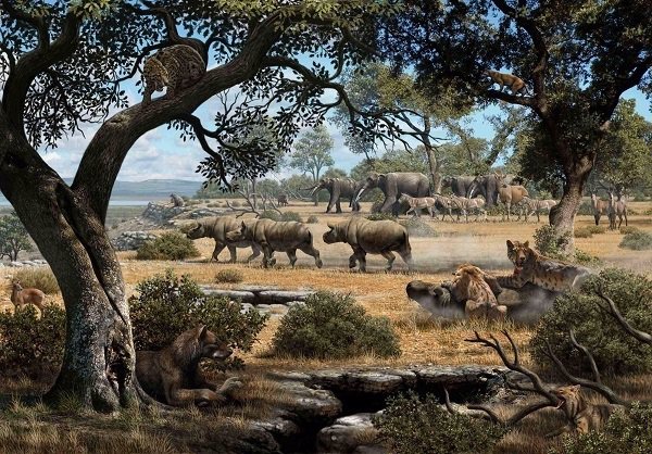 Científicos españoles descubren que el perro-oso y la hiena cazaban en hábitats más abiertos que el resto en el Mioceno