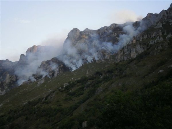 El Defensor recurre ante el TC la Ley de Montes asturiana por rebajar la protección de los montes quemados