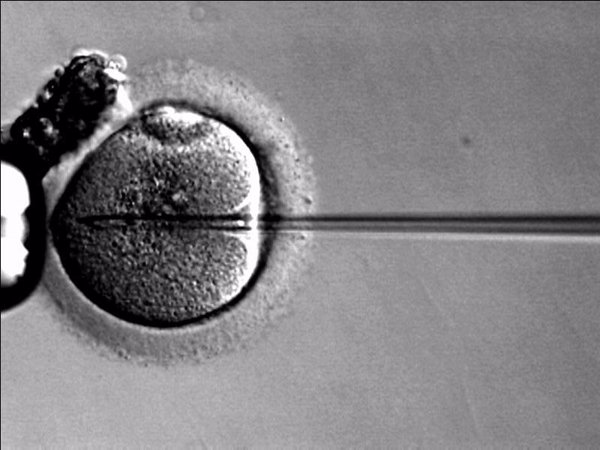 Mañana se cumplen 30 años del nacimiento del primer bebé español procedente de un embrión congelado