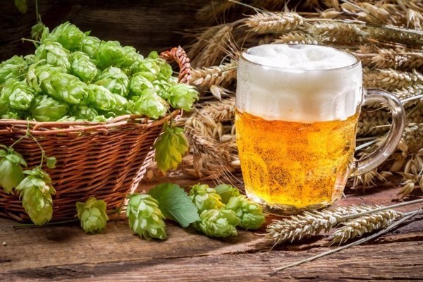 Cerveceros de España respalda el acuerdo entre cultivadores de lúpulo español y Hopsteiner España