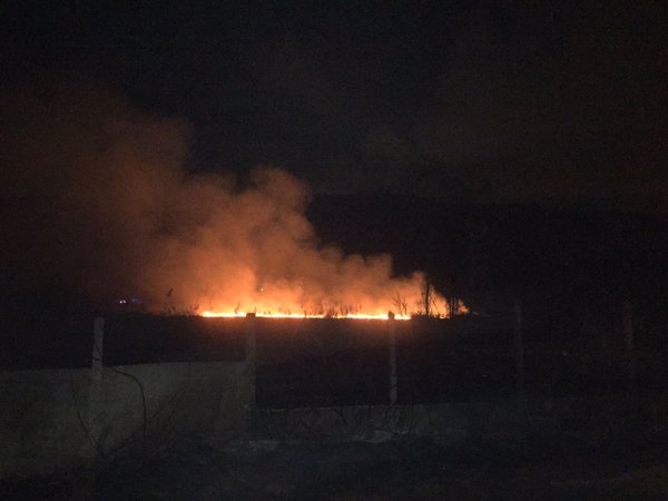 Sofocan de madrugada un fuego activo durante cuatro horas en una zona de cañar del parque de L'Albufera