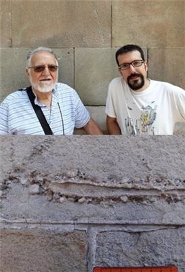Encuentran fósiles de hace 12 millones de años en edificios modernistas de Barcelona