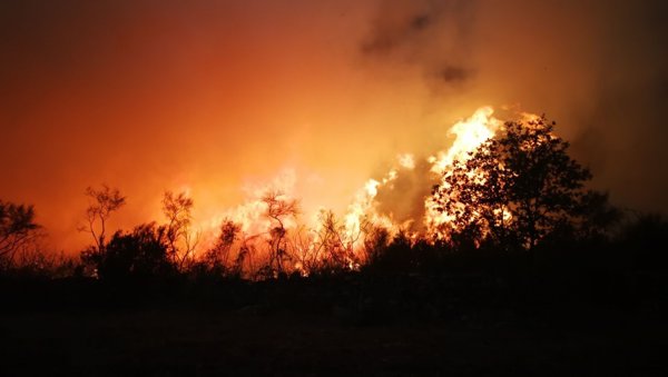Los incendios del fin de semana en Galicia arrasaron unas 35.500 hectáreas, más que 2014, 2015 y 2016 juntos
