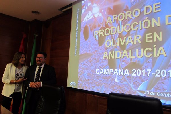 La Junta de Andalucía prevé un descenso del 15,8% en la producción de aceite de oliva por la falta de lluvias