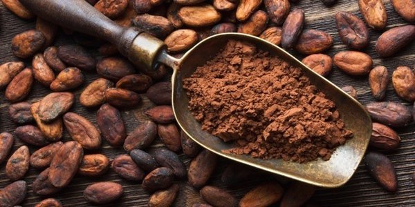 Experta señala que los polifenoles del cacao previene el riesgo de hipertensión y enfermedades cardiovasculares