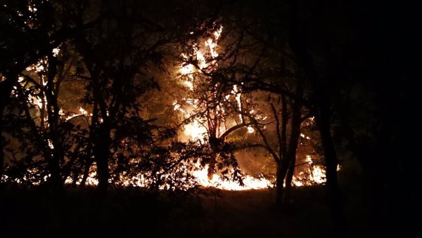 El fuego arrasó solo en octubre casi 70.000 hectáreas, el 40% del total quemado en lo que va de 2017