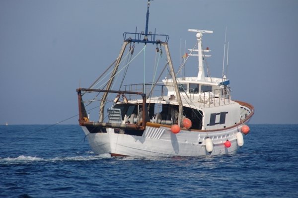 Oceana pide a los ministros de pesca de la UE límites de capturas para 2018 para recuperar stocks y fomentar el empleo