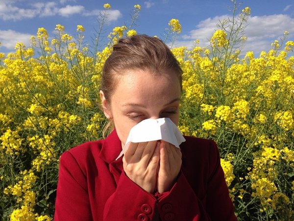 Experta señala que aumentan los casos de alergia al polen por el uso de árboles cipreses en las urbanizaciones