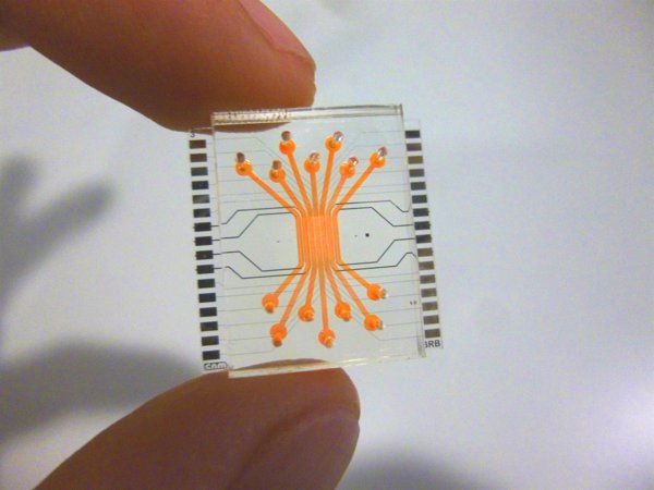 Reproducen la barrera de la retina humana en un microchip