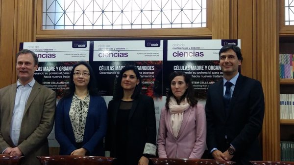 El desarrollo de miniórganos de pacientes con cáncer permitirá probar y seleccionar mejor sus tratamientos