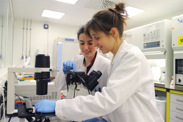 Investigadores de la Universidad de Navarra desarrollan un método que utiliza calor contra células cancerígenas