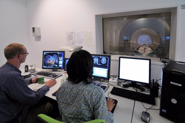 Expertos en Epidemiología y Salud Pública urgen una ley específica para proteger datos sobre salud y genética