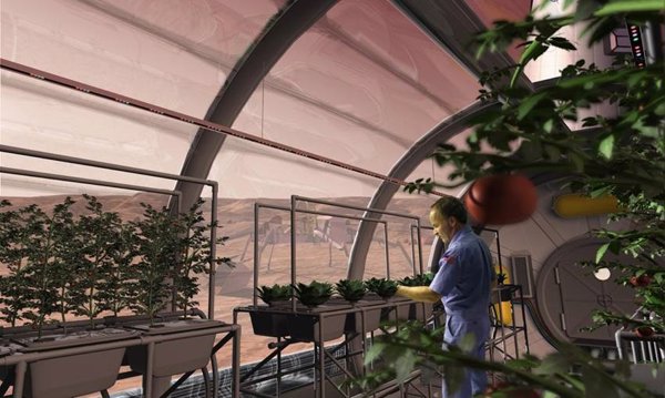 Investigadores españoles demuestran que el desarrollo de las plantas se altera en condiciones de gravedad marcianas