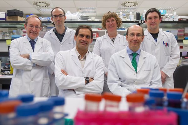 Científicos españoles descubren un mecanismo que favorece la metástasis del cáncer de pulmón a hueso